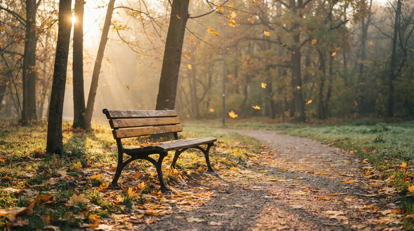 En tom parkbänk en höstmorgon, gula lönnlöv på stigen och låg sol mellan träden — svenska nätcasinon